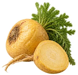 Maca peruviana, la radice andina di Uro Active