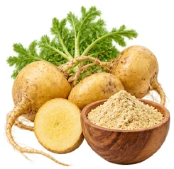 Maca peruviana, la radice andina di Uro Active